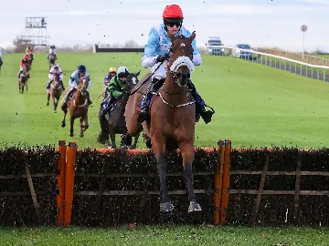 Tuesday December afternoon racing, jumps