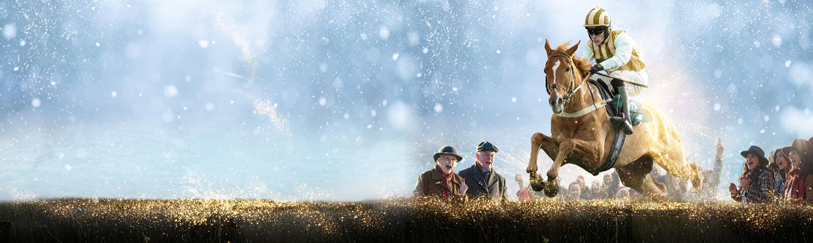 Boxing Day Racing at Sedgefield Racecourse