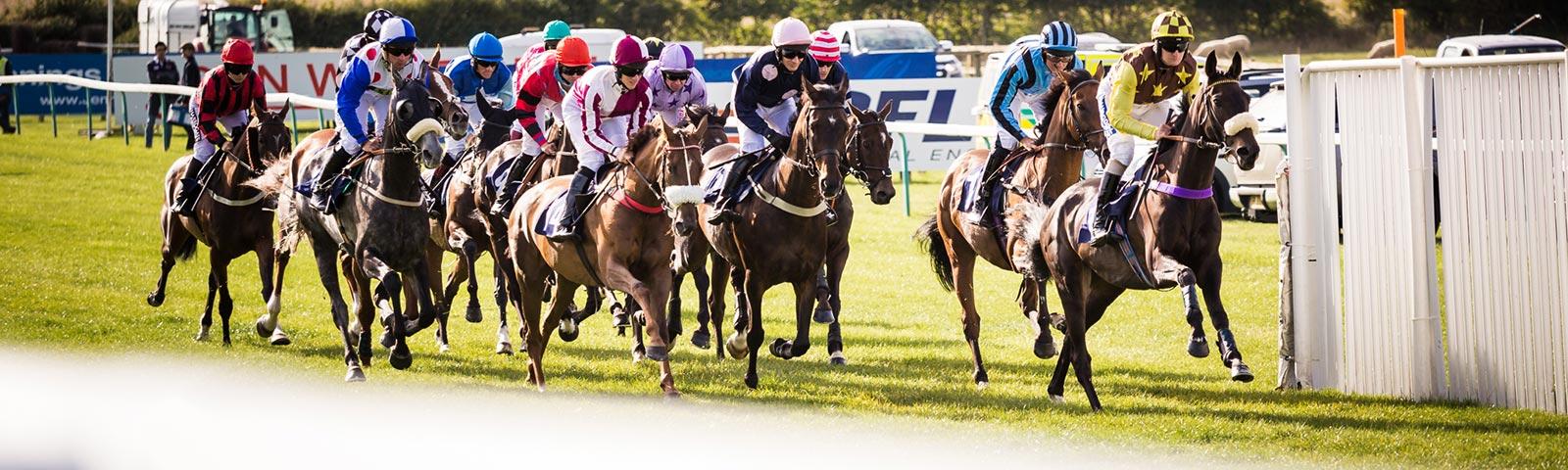 Group of jockeys racing at Sedgefield Racecourse.