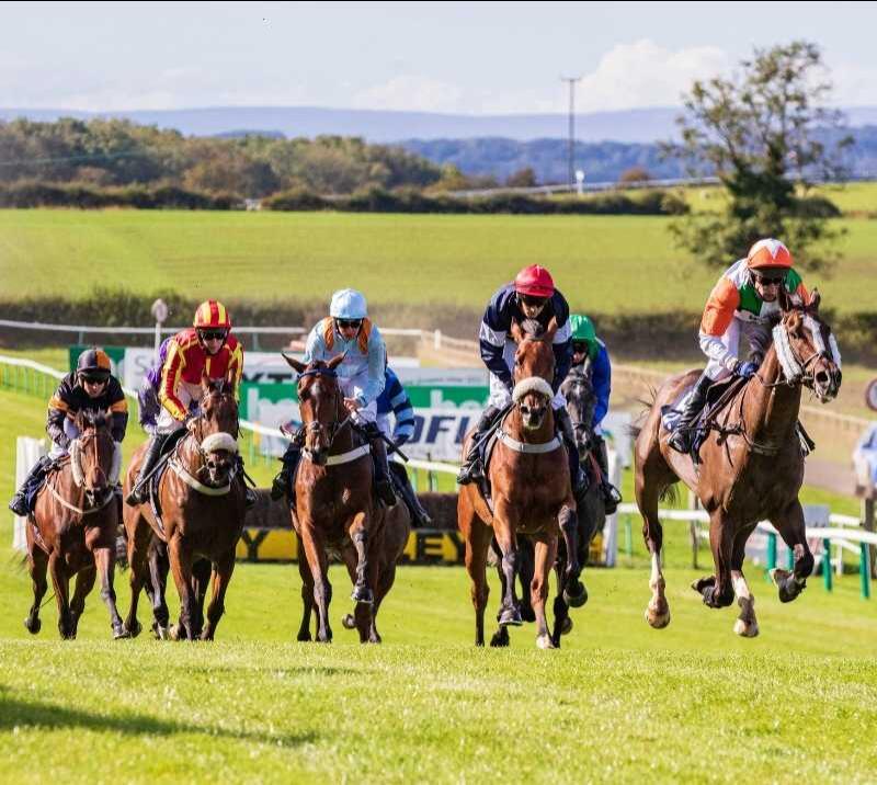 Annual Membership Sedgefield Racecourse