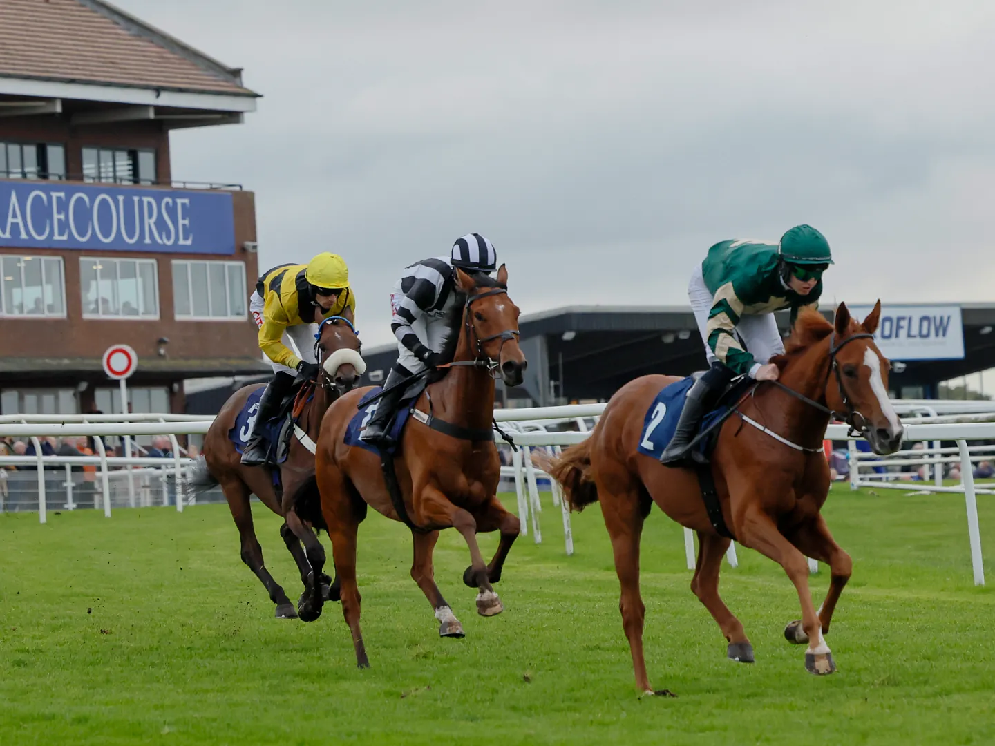 Horses Running