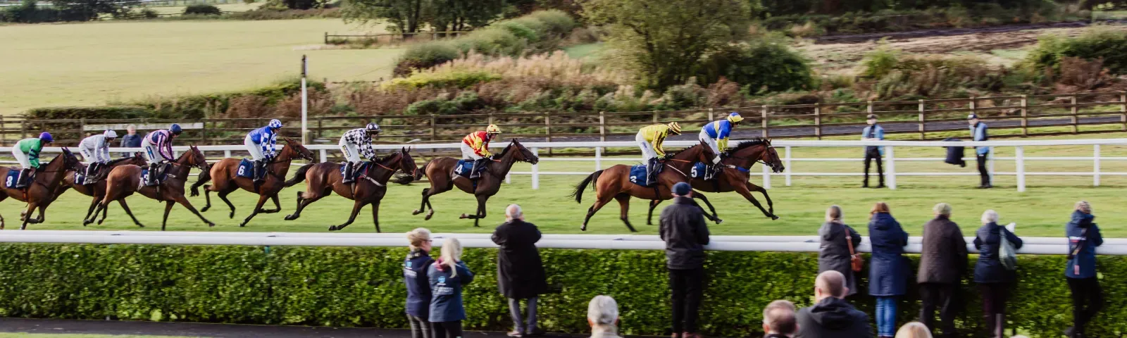 Owners and trainers watch on from the parade ring as their horses run past