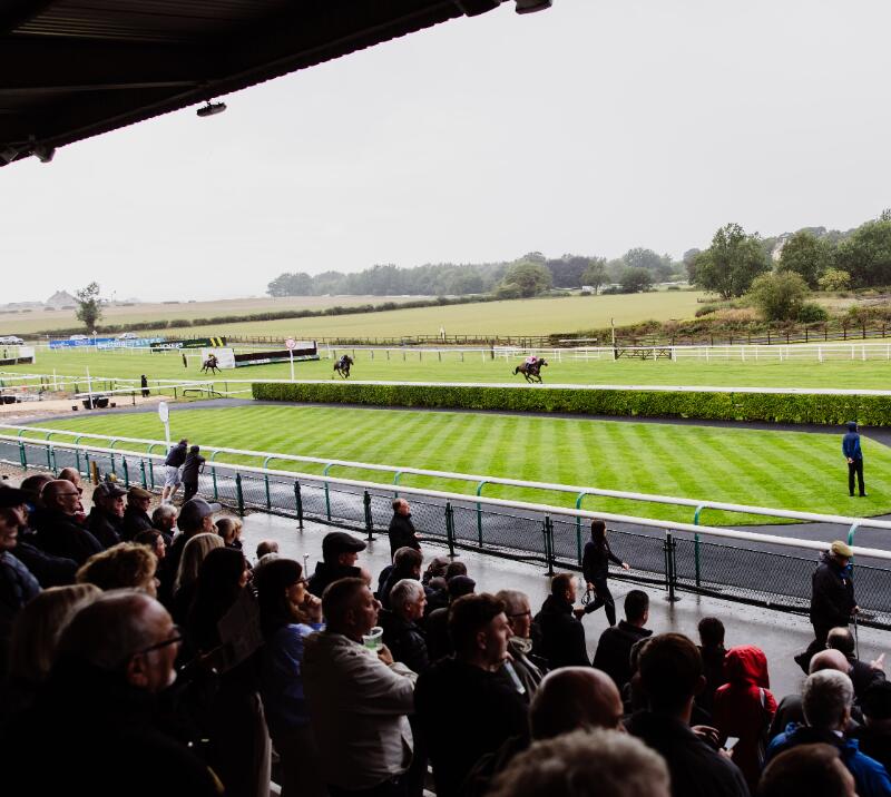 The crowd in the grandstands at Sedgefield look out over the track