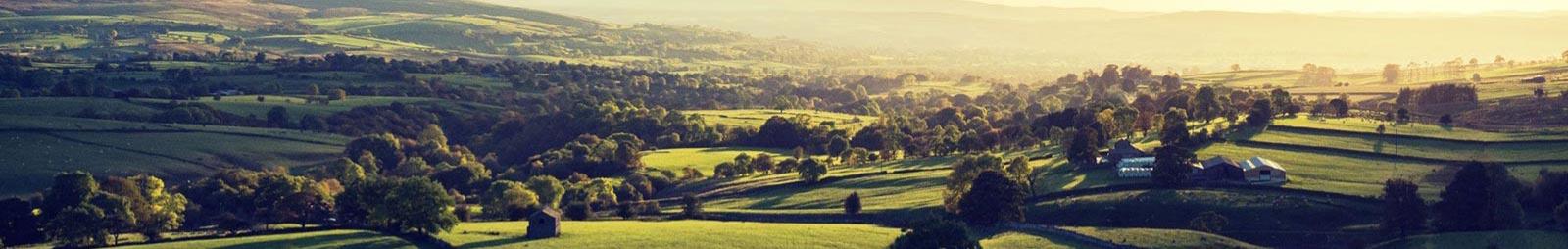 Aerial view of the durham county surrounding the Sedgefield Racecourse.