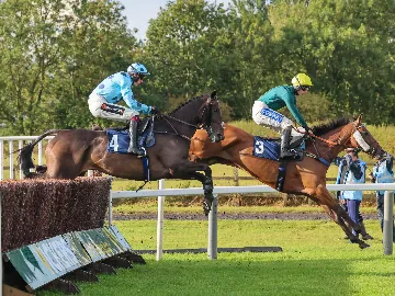 November Tuesday Afternoon jumps racing, horses jumping over fences, mid flight
