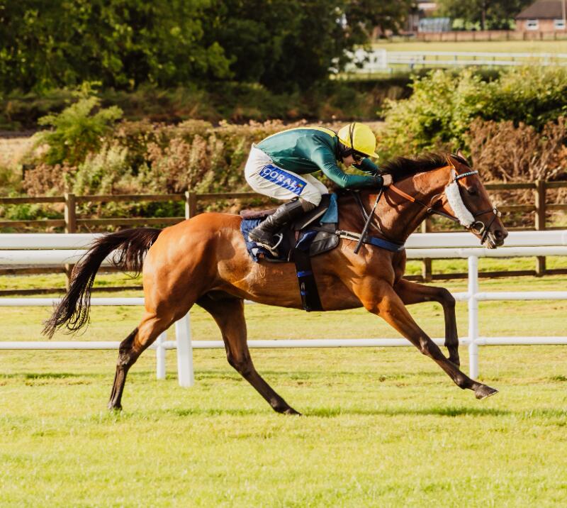 A horse and jockey barrel down the track at speed at Sedgefield