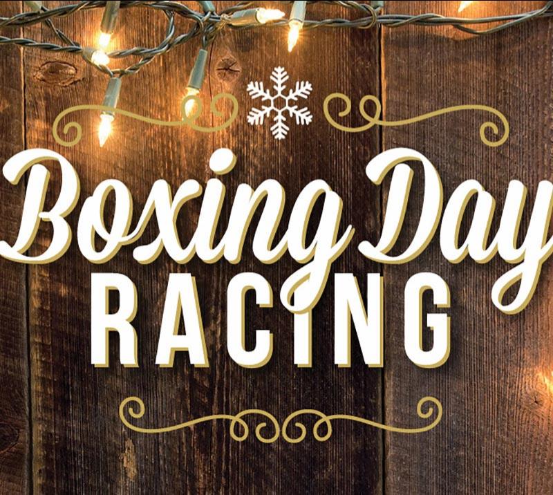 Boxing Day Racing Sedgefield Racecourse