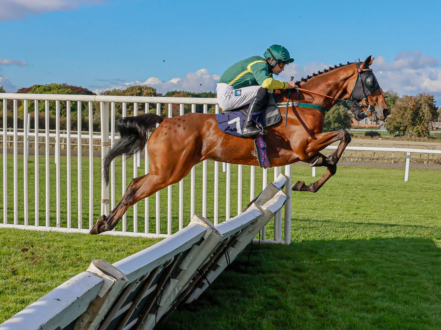 Horse Jumping