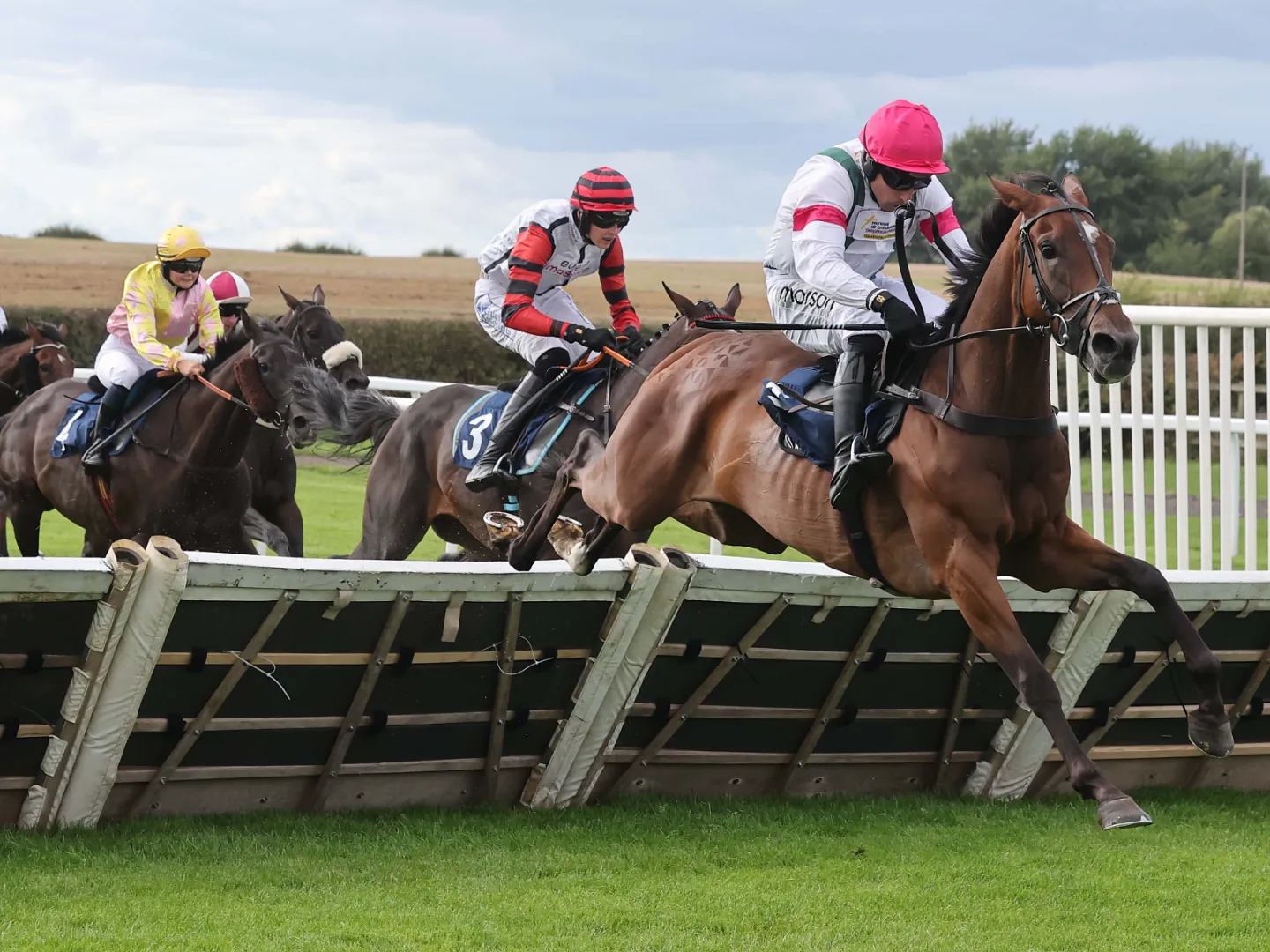 Horse Jumping 