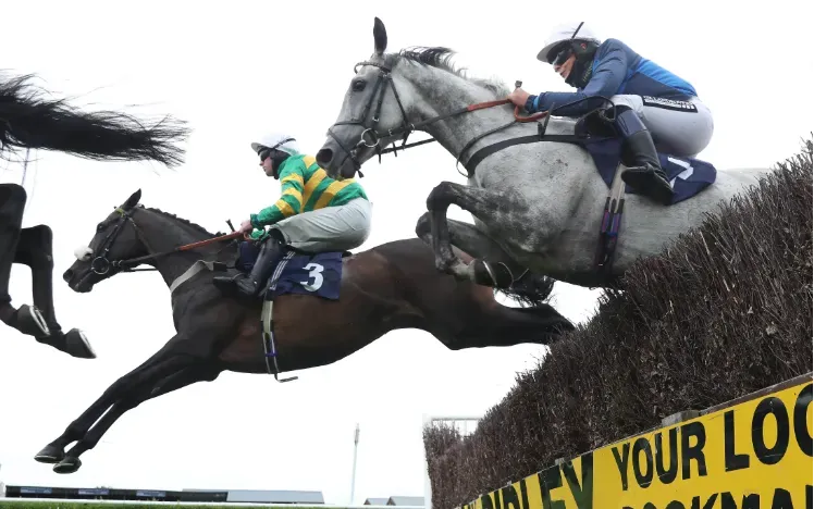 A view from the ground of horses taking on a jump at Sedgefield race track