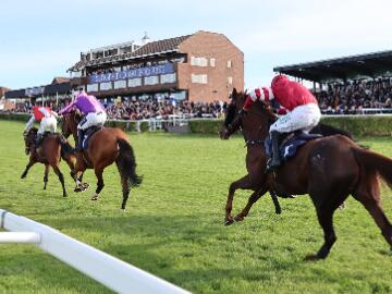 A sprint to the finish line at Sedgefield Racecourse