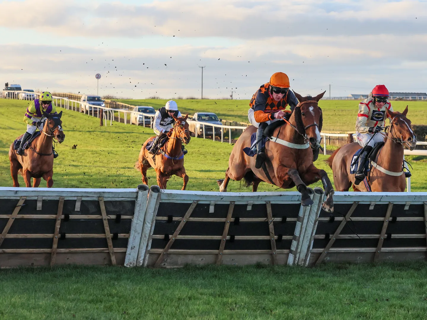 Horses Jumping