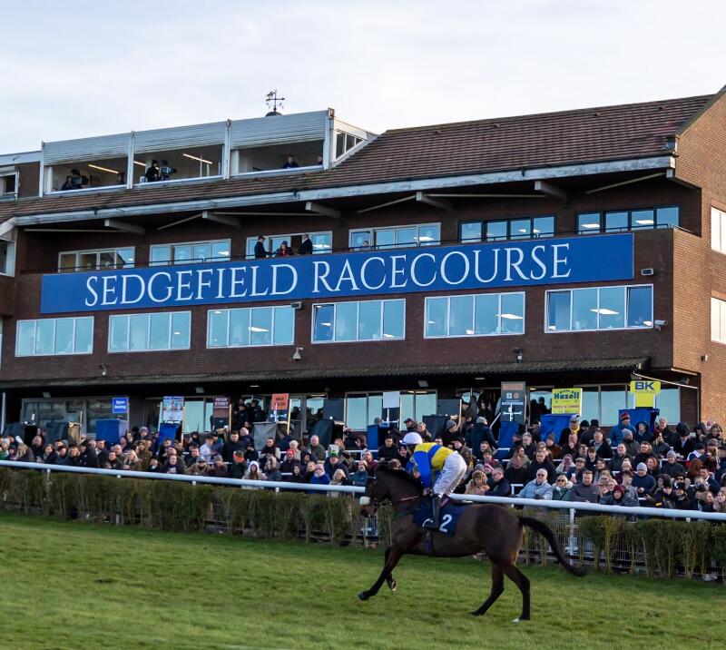 A solo horse and jockey make their way up the track past the grandstands