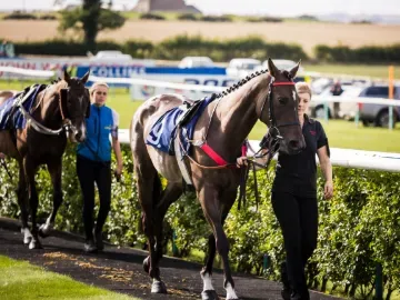 Horses being walked around the parade ring at Sedgefield in the sunshine