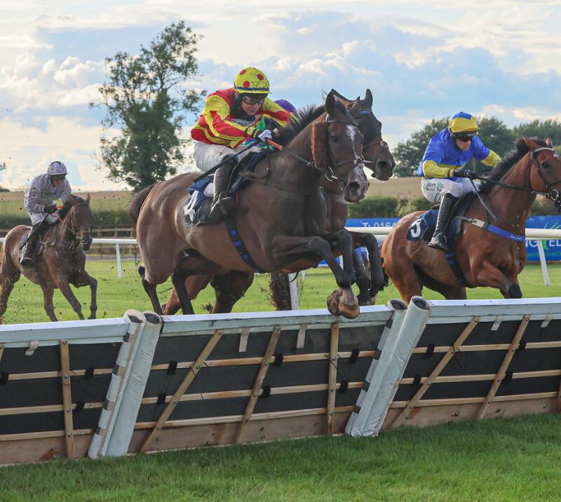 Horses mid-flight over a jump at Sedgefield Racecourse