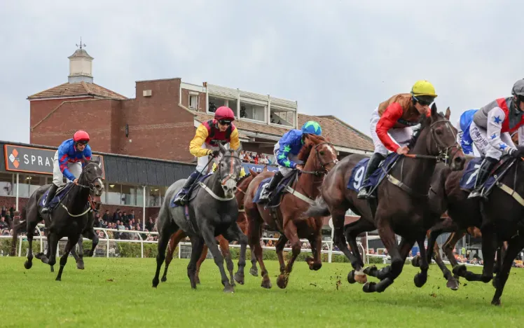 Horses racing along the track at Sedgefield, with the grandstand behind them