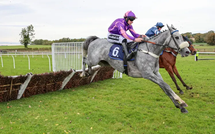 Horses taking on a jump on the track at Sedgefield Races