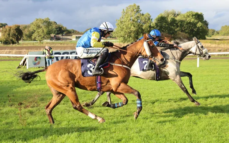 Horses racing along the track at Sedgefield Racecourse