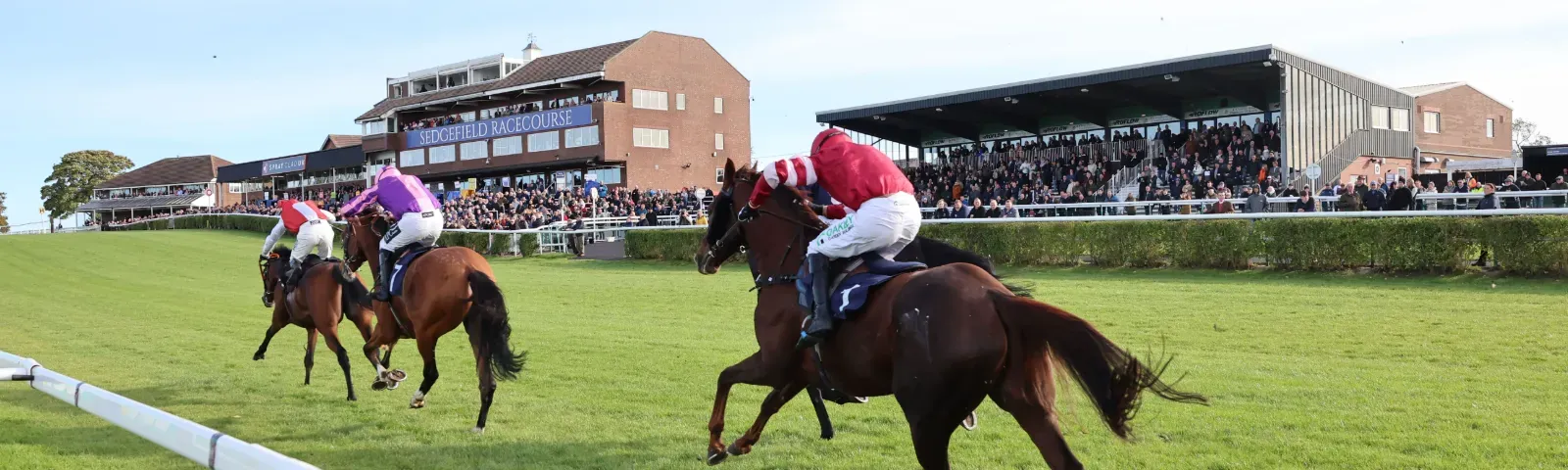 Horses run up the track in front of packed grandstands at Sedgefield Racecourse