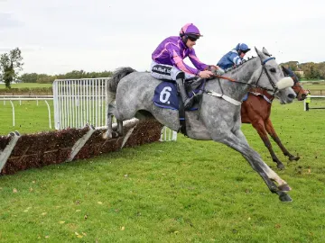Horses taking on a jump on the track at Sedgefield Races