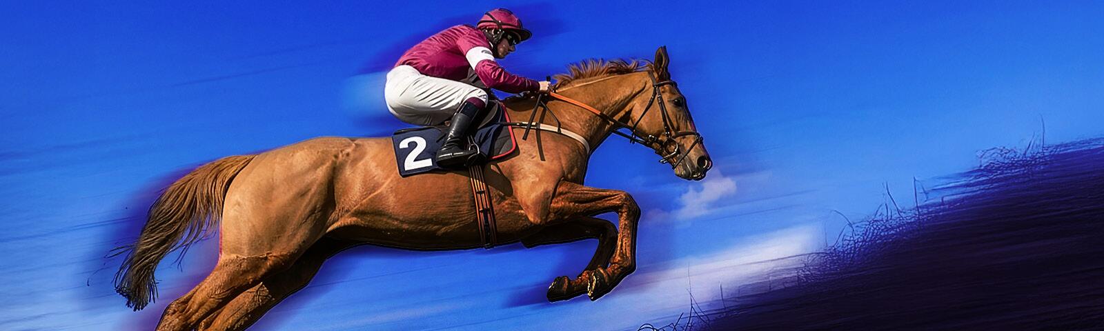 Cheltenham Tuesday Sedgefield