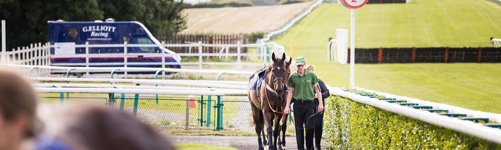 A stablehand walks a horse around the parade ring at Sedgefield Racecourse.