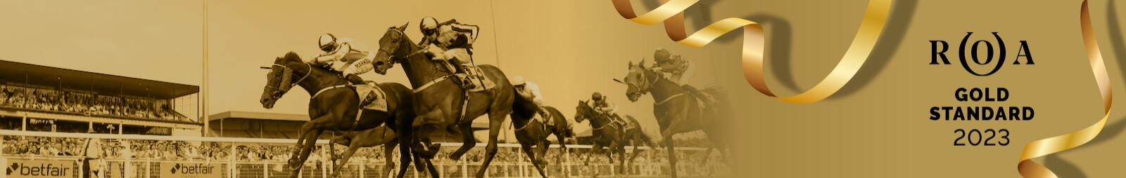 ROA Gold Standard Award 