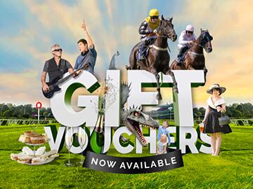 Early January Sale Sedgefield Racecourse